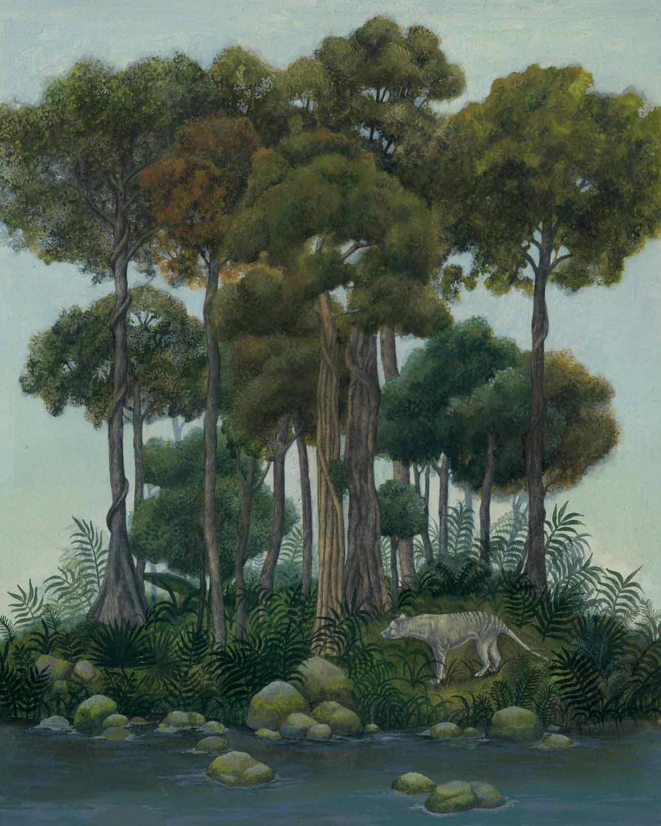 L’isola delle ombre